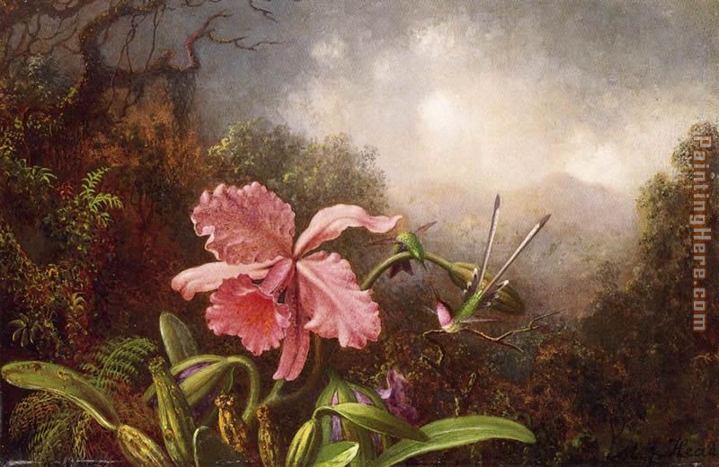Two Hummingbirds by an Orchid painting - Martin Johnson Heade Two Hummingbirds by an Orchid art painting